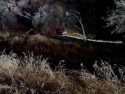 Vehicle down embankment—CCF photo