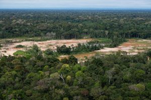 Environment Indigenous Crime Prevention