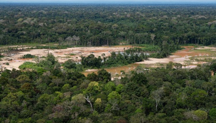 Environment Indigenous Crime Prevention