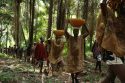 Photos show Indigenous Ghanaians commemorating military victory over Ashanti Empire 200 years ago