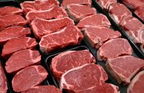 Election 2026 Beef