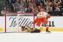 Ducks Golden Knights Hockey