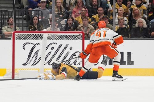 Ducks Golden Knights Hockey