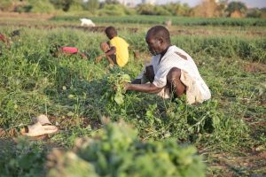 Sudan Daily Life