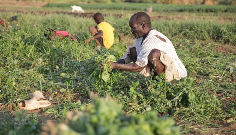 Sudan Daily Life