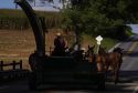 Measles-Amish Country