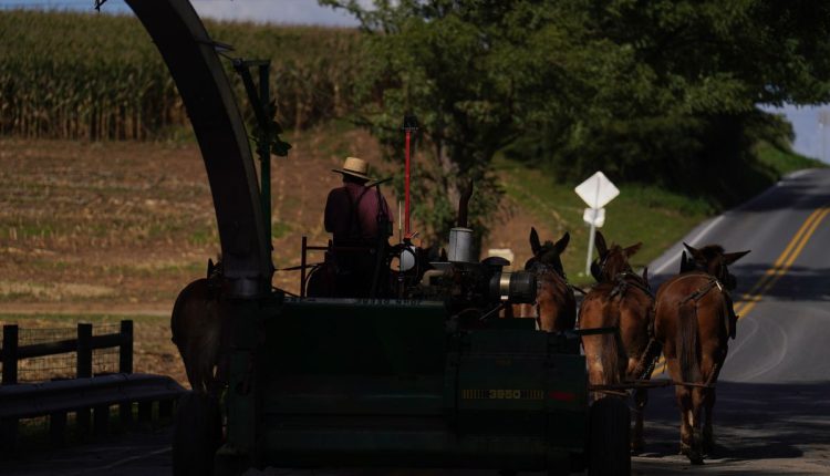 Measles-Amish Country