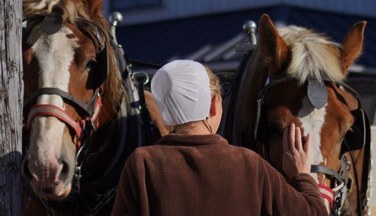 Measles-Amish Country