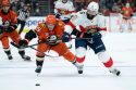 Panthers Ducks Hockey