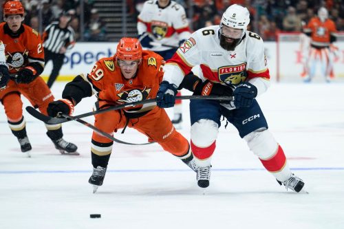 Panthers Ducks Hockey