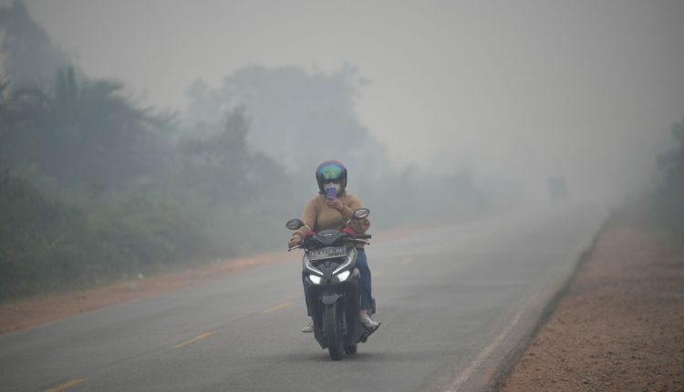 Indonesia Fires
