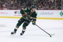 Bruins Wild Hockey