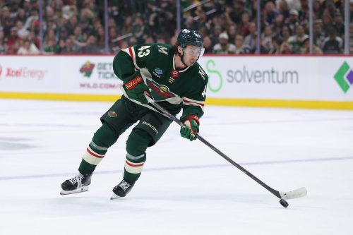 Bruins Wild Hockey