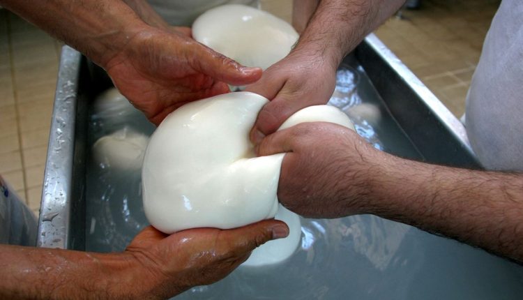 Italy-Mozzarella-Protest
