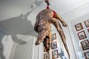 Netherlands Art Zoo Museum