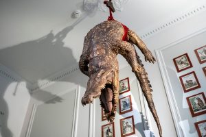 Netherlands Art Zoo Museum