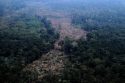 Brazil Election Amazon Tipping Point