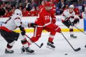 Senators Red Wings Hockey