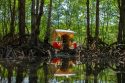 Vietnam Mangroves