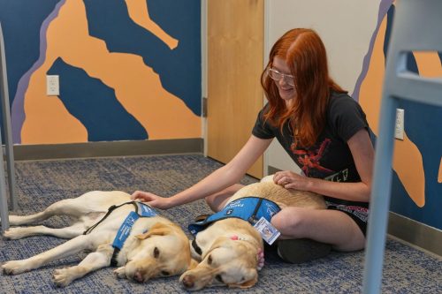 Trauma Dogs School Shooting