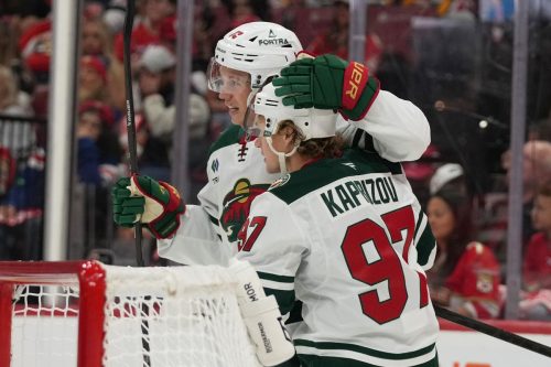 Wild Panthers Hockey