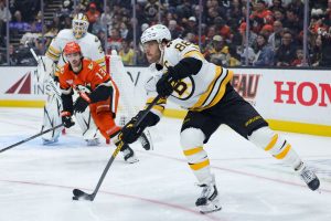 Bruins Ducks Hockey