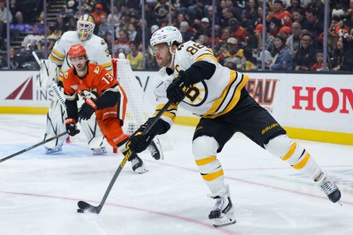 Bruins Ducks Hockey
