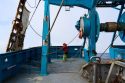 Alaska Trawling Explainer