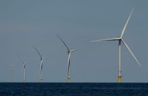 Trump Offshore Wind