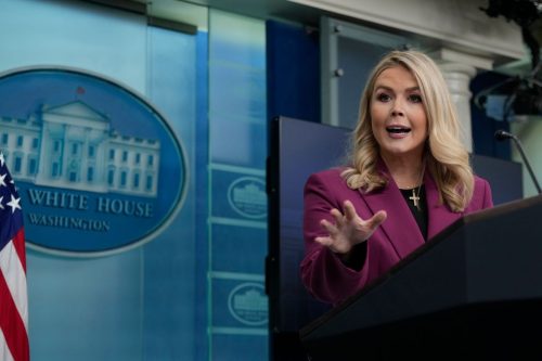 Media Karoline Leavitt Fox