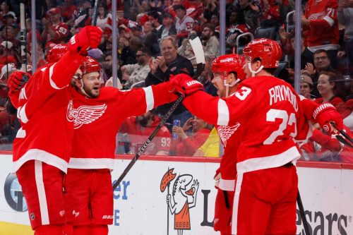 Senators Red Wings Hockey