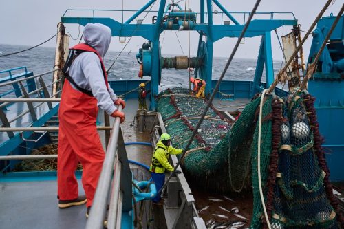 APTOPIX Alaska Trawling Fish Collapse