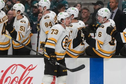 Bruins Sharks Hockey