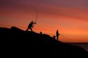 Saving Striped Bass