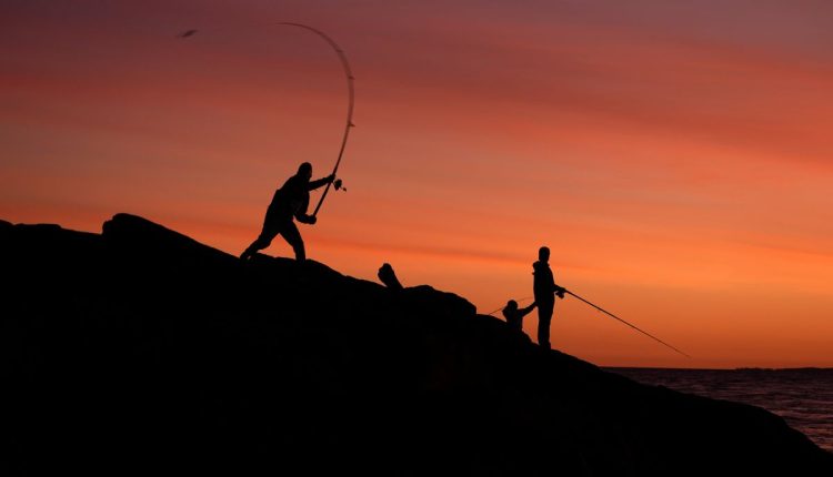 Saving Striped Bass