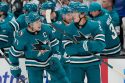 Panthers Sharks Hockey