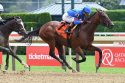 Gaudreau Tribute Horse Racing