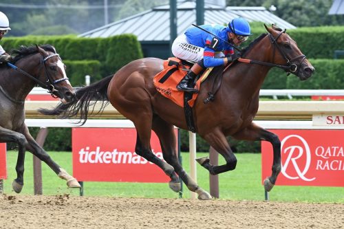 Gaudreau Tribute Horse Racing