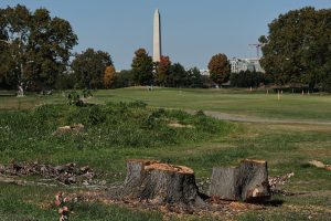 Trump Golf Course