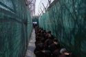 Iraq Syria Prisoners