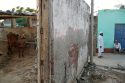 India Police Violence