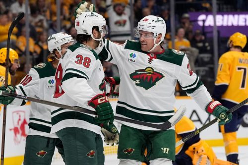 Wild Predators Hockey