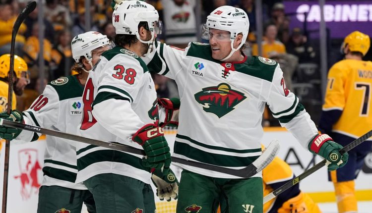 Wild Predators Hockey
