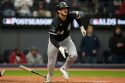 White Sox Guardians Baseball
