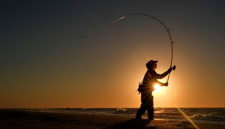 Saving Striped Bass