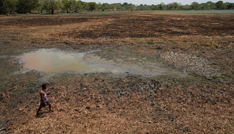 Climate Sri Lanka Drought