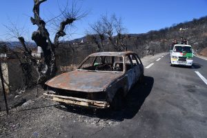 Algeria Wildfires