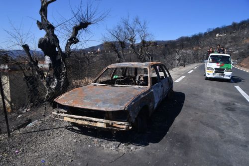 Algeria Wildfires