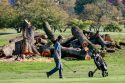 Trump Golf Course