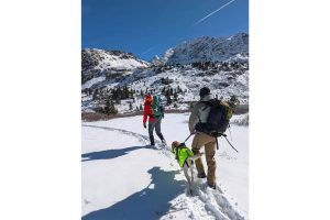 Missing College Hikers Colorado